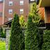 Outdoors view