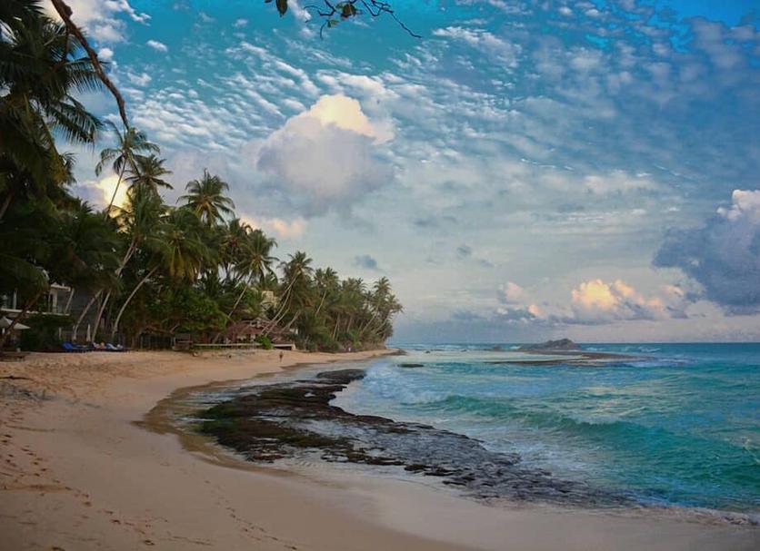 Beach Photo