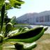 Outdoors view