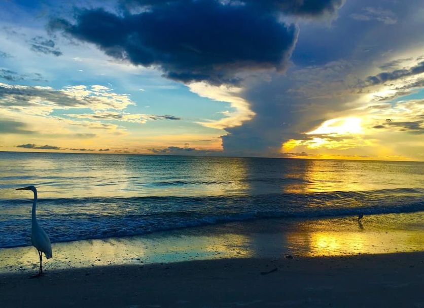 Carousel Suites -Redington Shores beach sunset with ocean view and a wading bird in the foreground