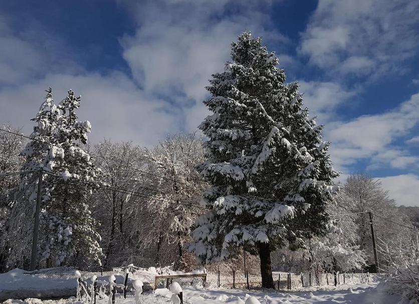 Outdoors view Photo