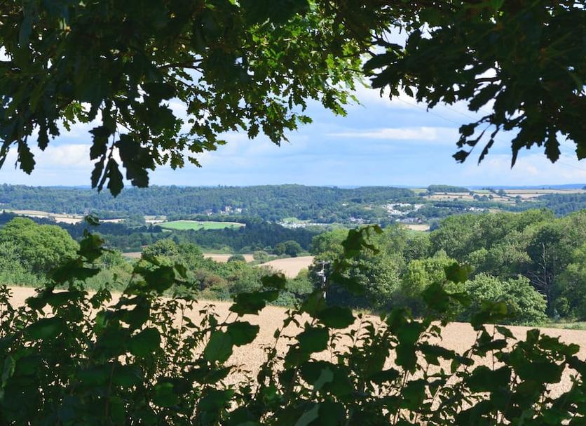 Outdoors view Photo