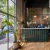 Wythe Hotel in Brooklyn lobby with tall windows, potted plants, and a dark green reception desk