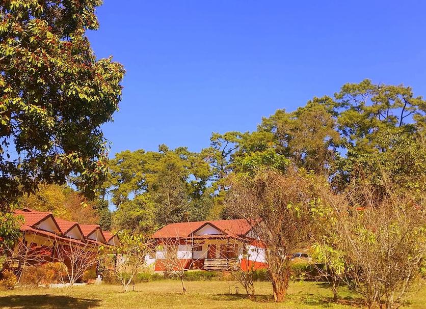 Outdoors view Photo