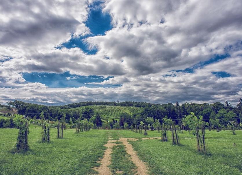 Outdoors view Photo