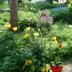 Outdoors view