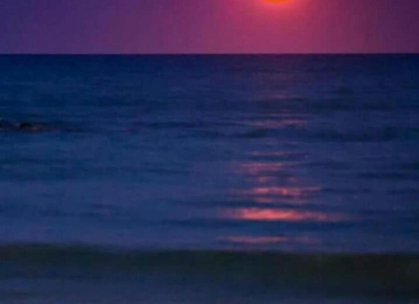 Beach Photo