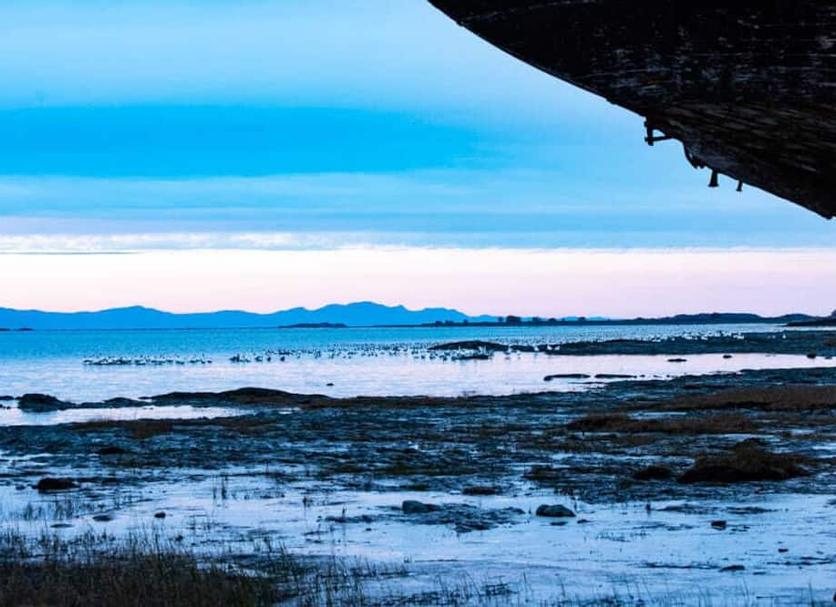Outdoors view Photo