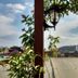 Outdoors view