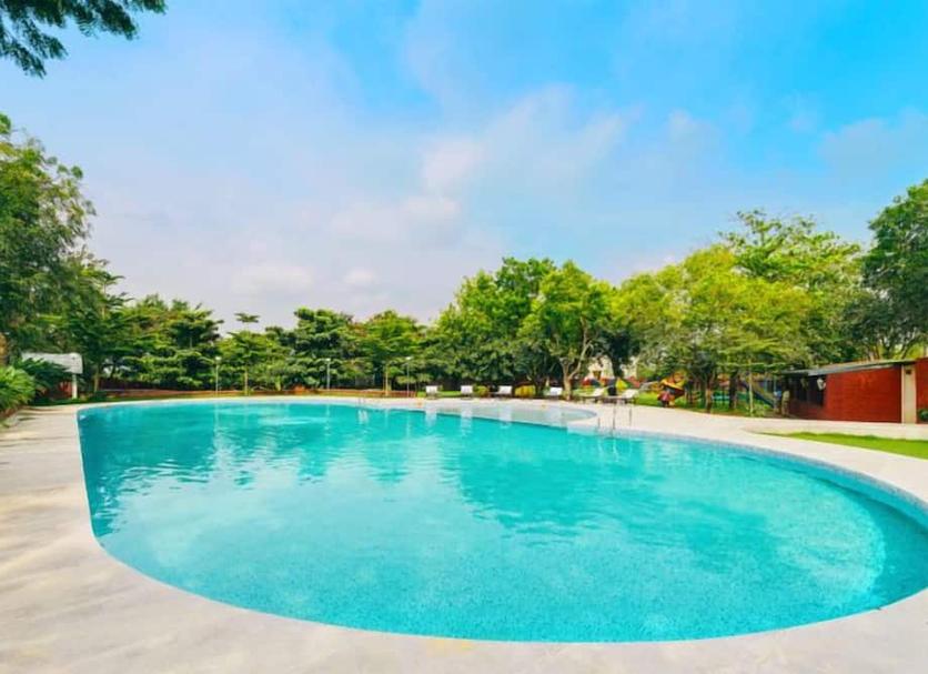Pool Photo