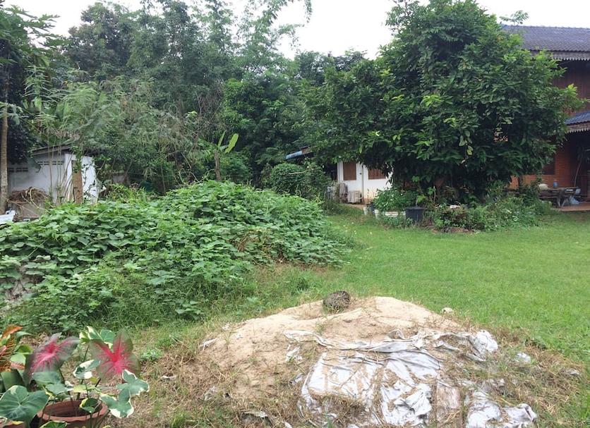 Outdoors view Photo
