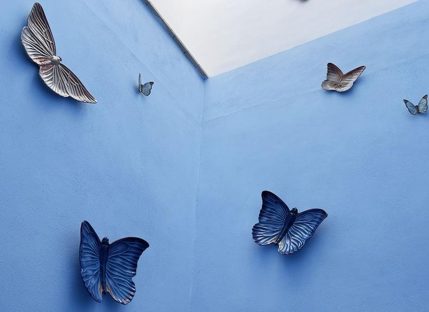 Decor Photo