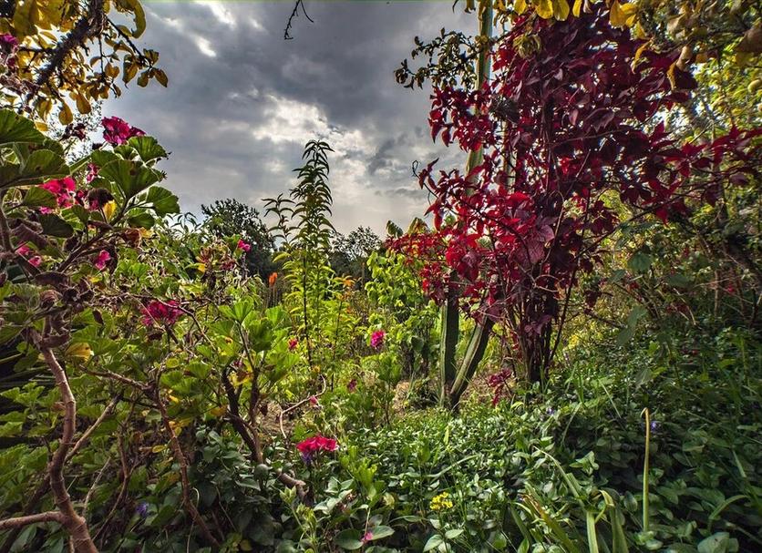 Outdoors view Photo
