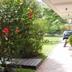 Outdoors view