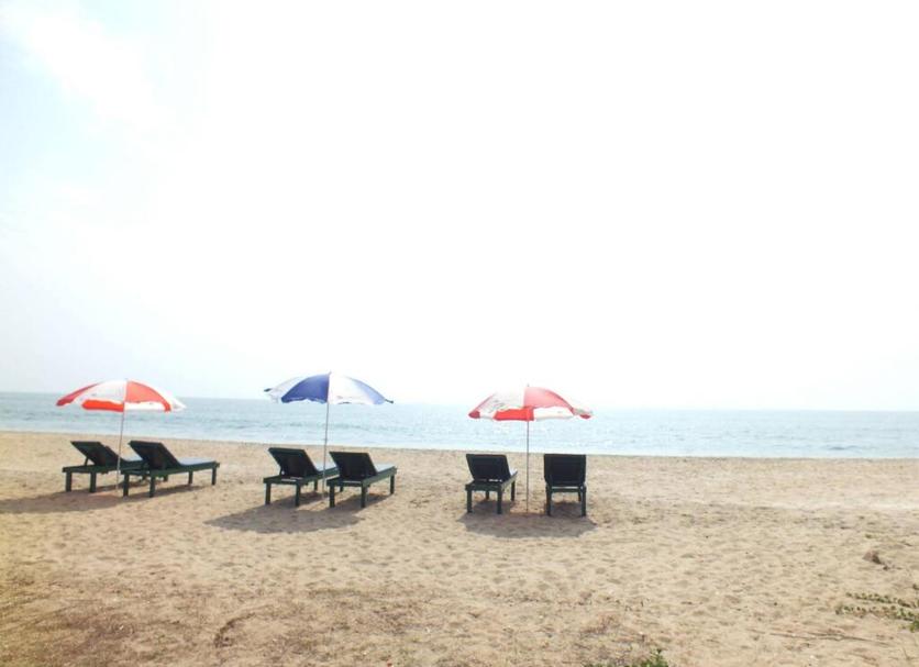 Beach Photo
