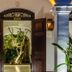 Prince of Galle, Galle: open wooden doors framing a lush tropical courtyard entrance
