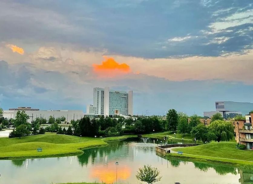 Outdoors view Photo