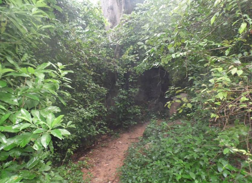Outdoors view Photo