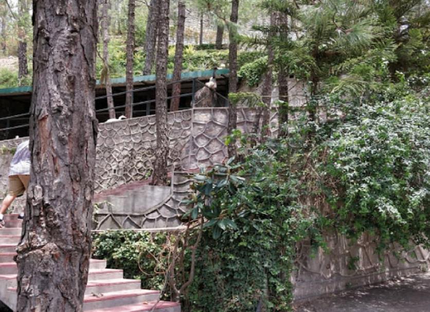 Outdoors view Photo