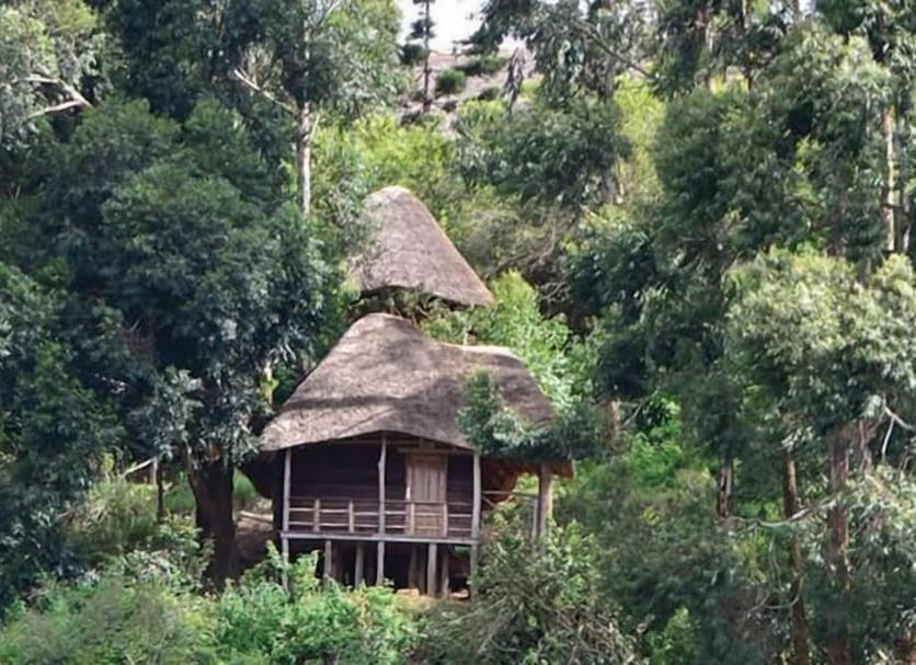 Outdoors view Photo