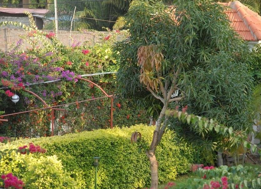Outdoors view Photo