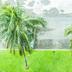 Outdoors view