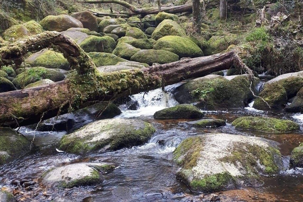 Other Photo