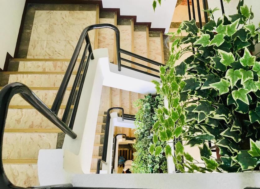 Stairs Photo