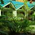 The Krabi Forest Homestay in Ao Nang with turquoise-roofed bungalows and lush tropical gardens