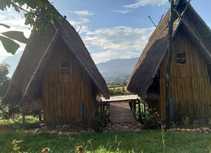 Outdoors view Photo