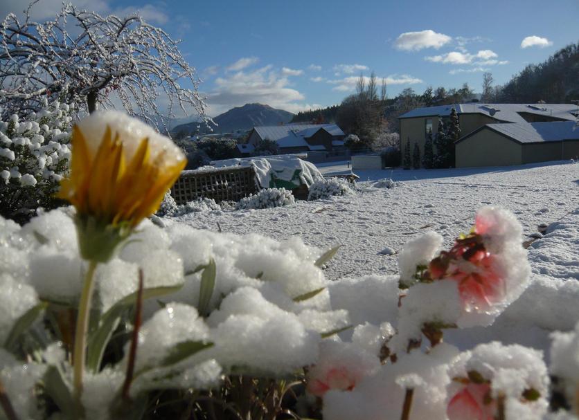 Outdoors view Photo