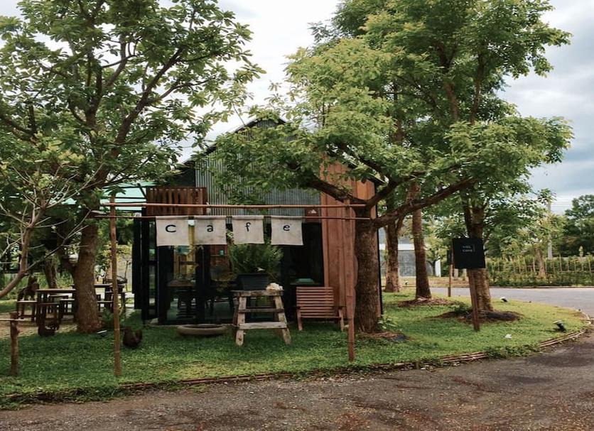 Other Photo