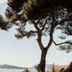 Outdoors view