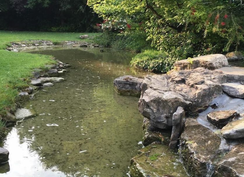 Il Leone D'Oro, Telgate: garden pond with clear water, rocks and lush greenery