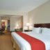 Holiday Inn Express & Suites Harriman by IHG guest room with king bed, TV, desk, and seating area
