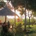 Erlittop Nature Lodge in El Nido with thatched outdoor seating amid lush tropical garden