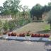 La Garona in Saint-Nicolas-de-la-Grave garden with flower beds and small trees beside a driveway