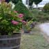 Outdoors view