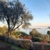 Domina Borgo degli Ulivi - Garda Lake in Gardone Riviera with lake view through trees and gardens