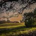 Cypress Fairway Village in Wimberley with sunrise over a grassy fairway and trees