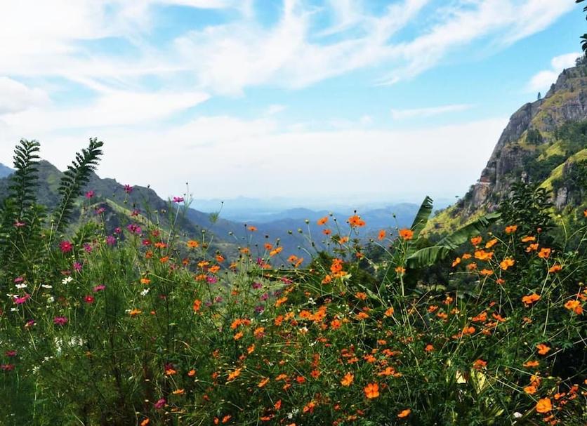 Outdoors view Photo