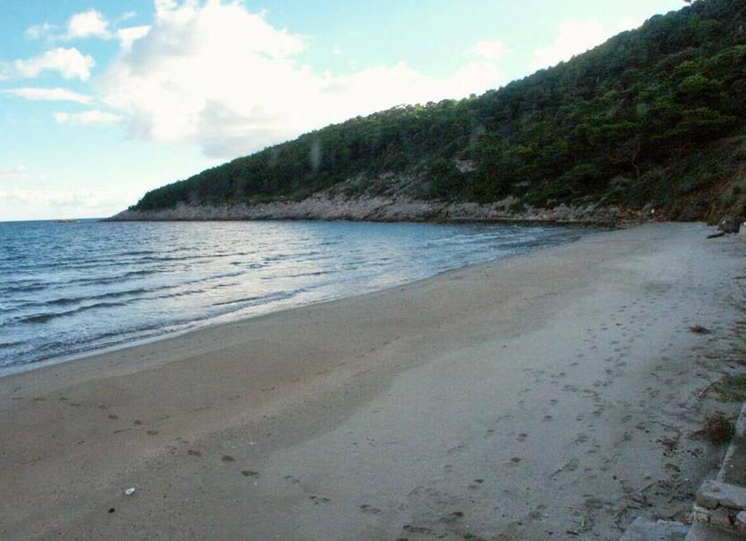 Beach Photo
