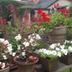 Outdoors view