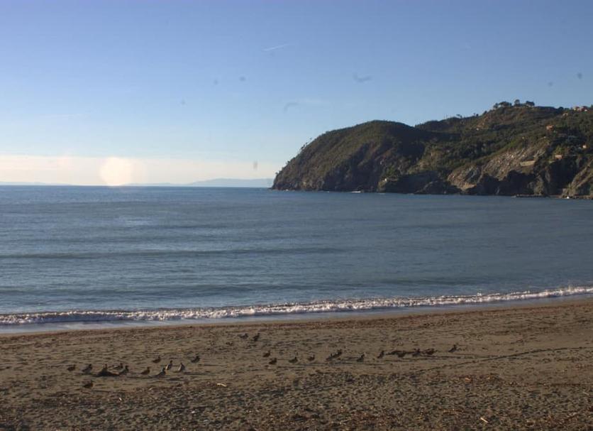 Beach Photo