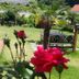 Outdoors view