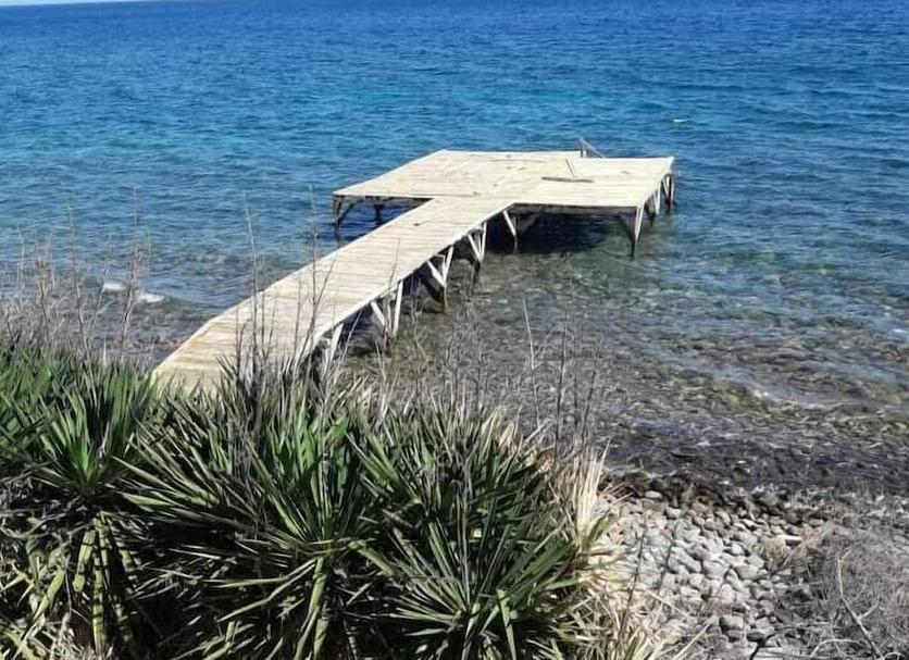 Other Photo