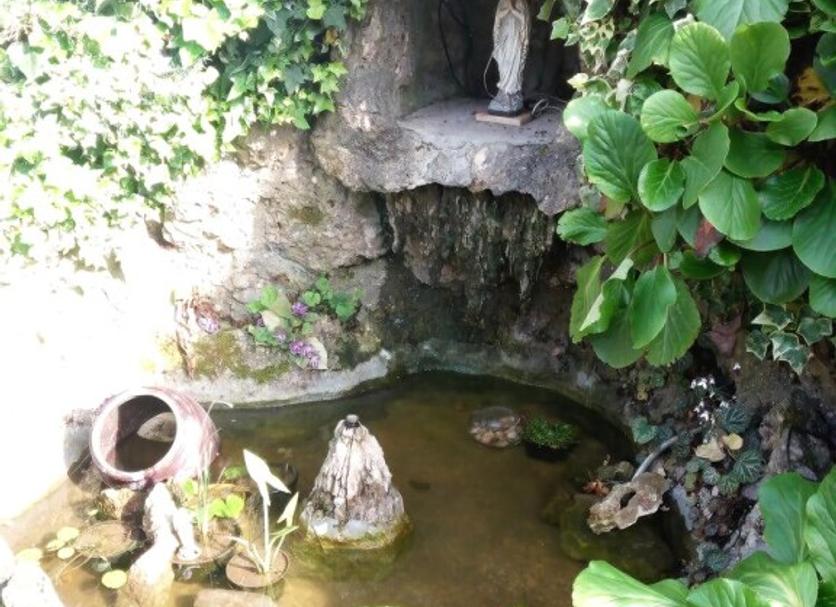 Other Photo