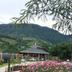 Outdoors view