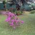 Outdoors view