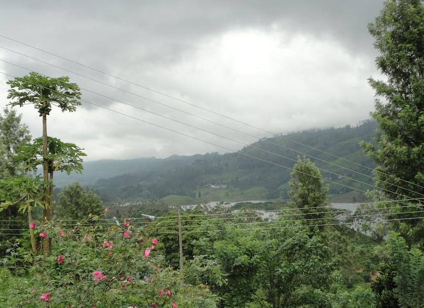 Outdoors view Photo
